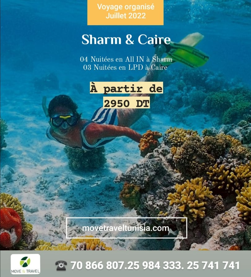 Caire & Sharm Sheikh Summer 2022